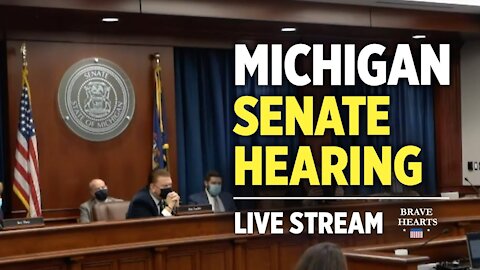 LIVE_ Michigan Senate hearing on election issues (Dec 1 Part 1) | NTD