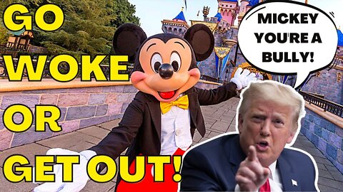 Conservative DISNEY Employees EXPOSE environment of BULLYING & INTIMIDATION by WOKE Co-Workers!