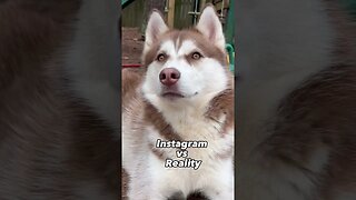 Instagram vs Reality