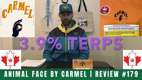 ANIMAL FACE by Carmel | Review #179