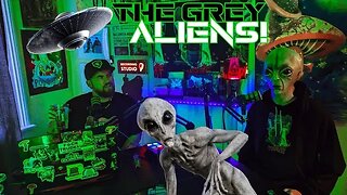 👽THE GREY ALIENS!🛸