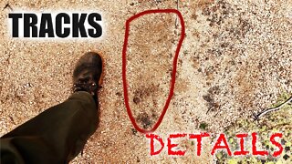 Sasquatch Tracks Above Crystal Park, Colorado - Cryptids