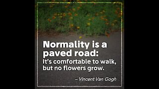 Normality [GMG Originals]
