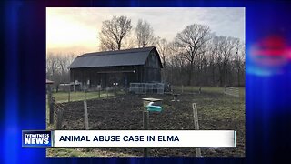 Crime Stoppers offering reward after "theft and mutilation of domestic fowl" in Elma