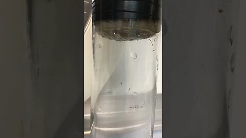 Water Drops of gravity vs capillary adhesion
