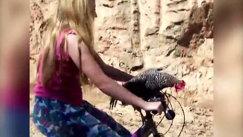 A Chicken And A Girl Go Bike Riding Together