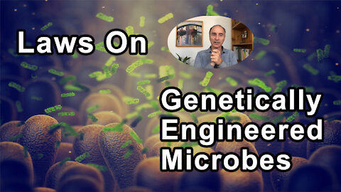 Laws That Prevent The Release Of All Genetically Engineered Microbes - Jeffrey Smith