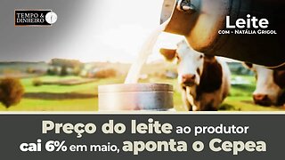 Leite: preço ao produtor cai 6% em maio ,aponta o Cepea