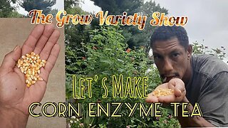 A Lil' Garden Boost: Corn Enzyme Tea (The Grow Variety Show EP.208)