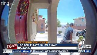 Porch pirate skips away happily