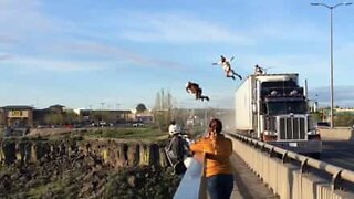 Daredevil friends BASE jump from moving truck
