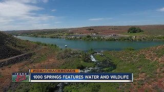 1000 Springs features water and wildlife