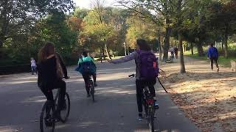 Biking Through Vondelpark in Amsterdam #Shorts