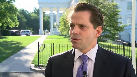 New White House Comms. Director Anthony Scaramucci on Trump: 'People in Wisconsin love the tweeting'