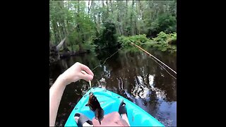 Fishing in the Seminole Forest short