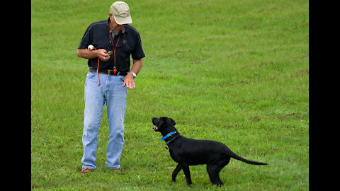 Ydrill from Homeplate - Beginning version w Bill Hillmann