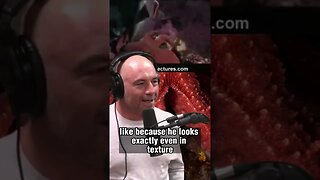 Octopus vs Shark: The Surprising Predator of the Aquarium - Joe Rogan and William von Hippel