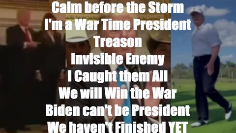 President Trump "Calm before the Storm", "I'm a War Time President", "Treason", "Invisible Enemy", "I Caught them All", "We will Win the War", "Biden can't be President", &quo