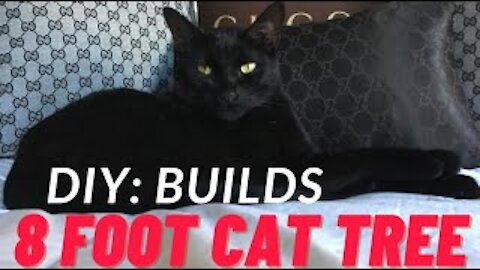 DIY: Cat Castle - 8' Tall Cat Tree