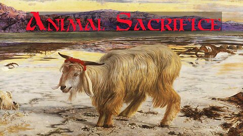 Did Jesus Believe in Animal Sacrifice
