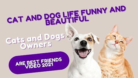 CAT and DOG LIFE FUNNY AND BEAUTIFUL Cats and Dogs Owners are Best Friends Video 2021
