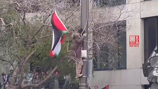 Terrorist Sympathizers Replace The American Flag In Nancy Pelosi's Back Yard Of San Francisco