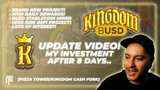 BUSD Kingdom | Investment Update 8 Days Later #DeFi #crypto #busd #passiveincome
