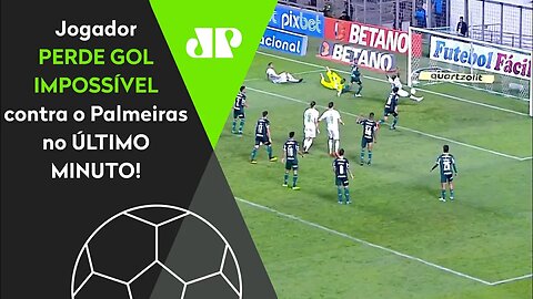 MEU DEUS! EU NUNCA VI ISSO! OLHA o GOL INACREDITÁVEL que o América-MG PERDEU contra o Palmeiras!