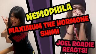 マキシマム ザ ホルモン(MAXIMUM THE HORMONE) / シミ(SHIMI) [Cover by NEMOPHILA] - Roadie Reacts