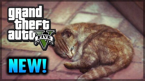 GTA 5 PS4 - Hunting Rare Animals - Lions, Whales, Cats Gameplay! (GTA 5 Gameplay)