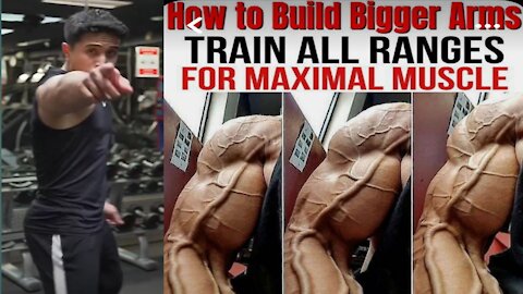 How To Build Your Bigger Arms.