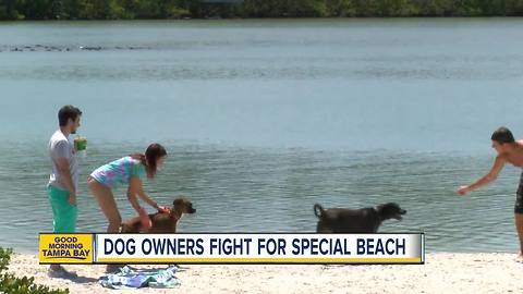 Pet owners fighting Pinellas County to get leash law removed from the 'dog beach' in Belleair Bluffs