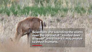 Scientists fear 100% fatal 'zombie deer disease' is evolving to infect humans