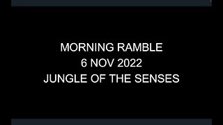 Morning Ramble - 20221106 - Jungle Of The Senses