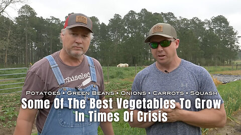 Some Of The Best Vegetables To Grow In Times Of Crisis (HOSS)