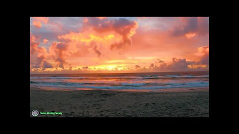 non-Copyright-free music | Copyright-free nature background video Download | Copyright nature video