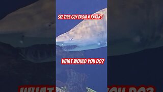 what would you do? #shorts #kayakfishing #shark #sharkweek #kayakangler #fish