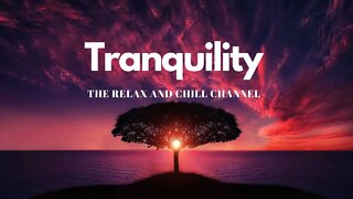 RELAX AND CHILL _ Tranquility (Yoga, meditation)