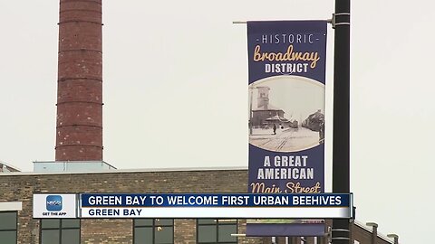 Green Bay to welcome first urban beehive