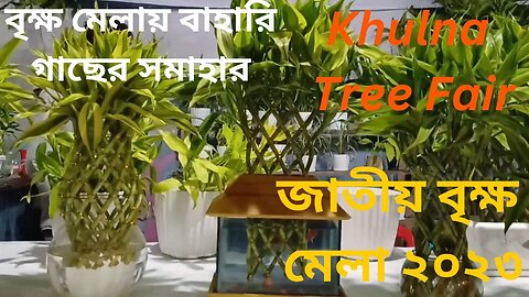 বৃক্ষ মেলায় বাহারি গাছের সমাহার || Khulna Tree Fair -2023 || Tree Fair in Bangladesh || বৃক্ষ মেলা