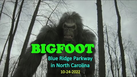 BIGFOOT heard in NC on 10-24-2022 😱