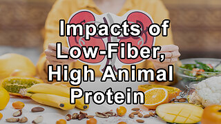The Negative Impacts of Low-Fiber, High Animal Protein Diets on Kidney Health - Jennifer Moore, M.S.