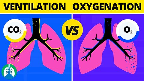 Ventilation vs Oxygenation vs Respiration: What is the Difference?