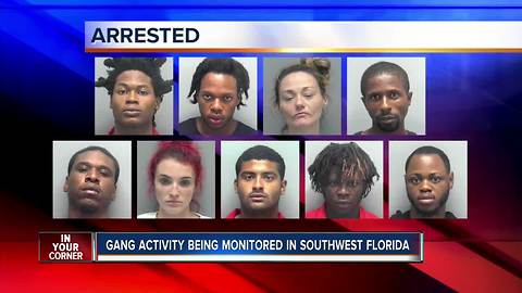 Suspected gang activity in SWFL