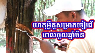 ហេតុផលដែល សម្រាក់ចៀរជ័ពេលចូលឆ្នាំចិន