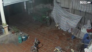 Criança acelera scooter acidentalmente e bate em parede de casa