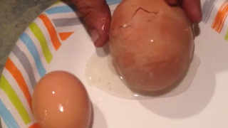 Giant Chicken Egg Inception: Lays An Egg Inside An Egg