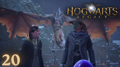 We Go Hunting For A Dragon But Did We Make A Big Mistake? - Hogwarts Legacy - 20
