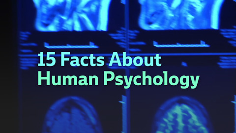 15 Facts About Human Psychology