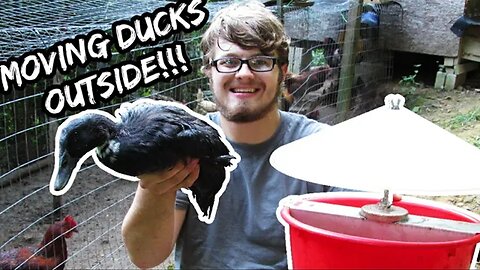 Setting Up Automatic Waterer!!! | Moving The Ducks Outside!!!